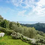 Cozy In * Chiavari