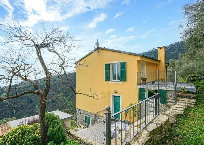 Cozy In * 키아바리